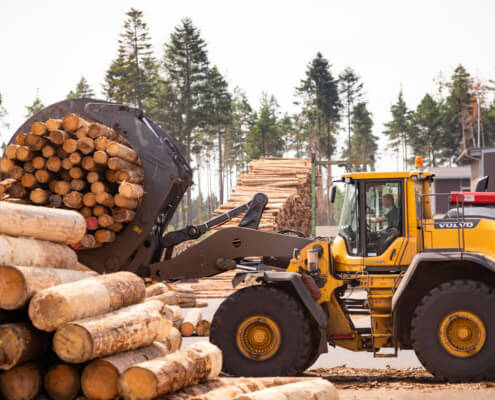 holz verarbeitung 2